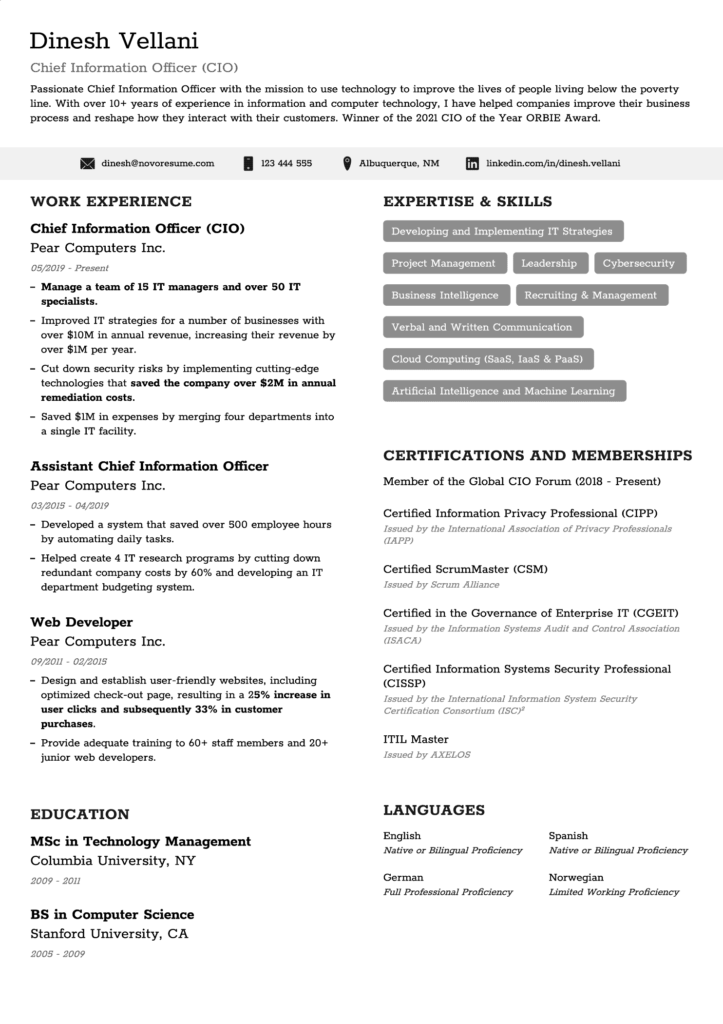 Chronological Resume Template 2018 from d.novoresume.com