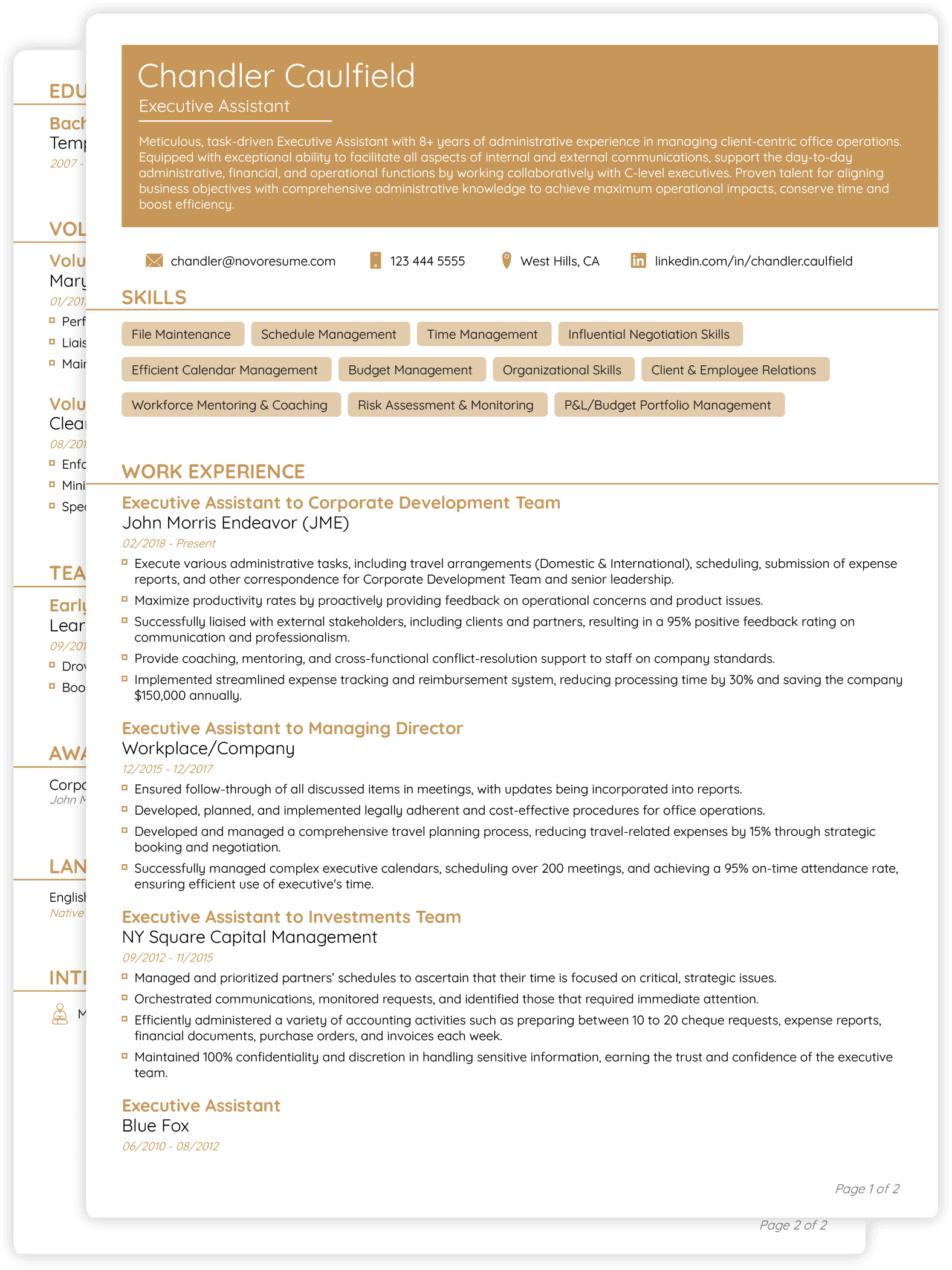 functional resume template 2020