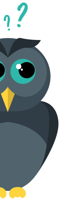 owly faq